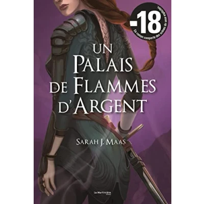 Afbeelding van UN PALAIS DE FLAMMES D&#039;ARGENT