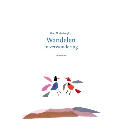 Afbeelding van Wandelen in verwondering