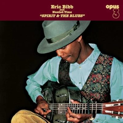 Afbeelding van Eric Bibb &amp; Needed Time Spirit The Blues (2 LP)