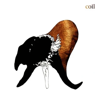 Afbeelding van Coil Black Antlers (2 LPs)