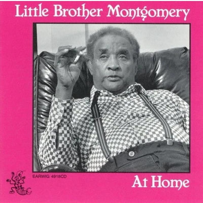 Afbeelding van Little Brother Montgomery At Home (CD)