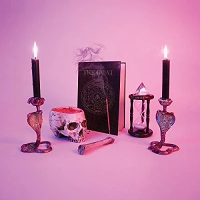 Afbeelding van Puppy Goat (LP)