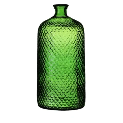 Afbeelding van Natural Living Bloemenvaas Scubs Bottle groen geschubt transparant glas D18 x H42 cm Fles vazen
