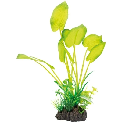 Afbeelding van Superfish Art plant Echinodorus