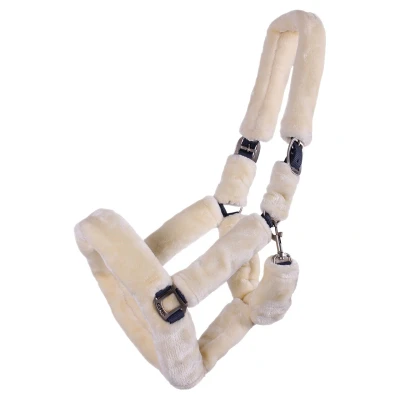 Image de QHP Halter Alaska