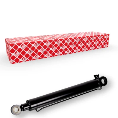 Afbeelding van FEBI BILSTEIN 172298 Kantelcilinder, cabine