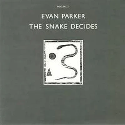 Afbeelding van Evan Parker Snake Decides (LP)