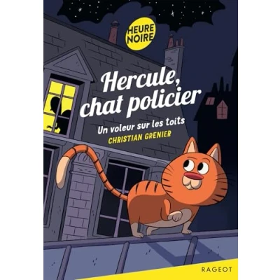 Afbeelding van Un voleur sur les toits