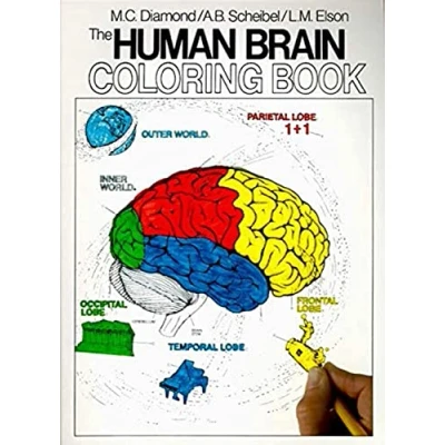 Afbeelding van Human Brain Colouring Book FIRM