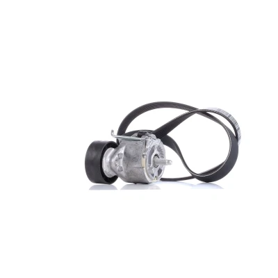 Afbeelding van Poly V riem set DAYCO KPV110