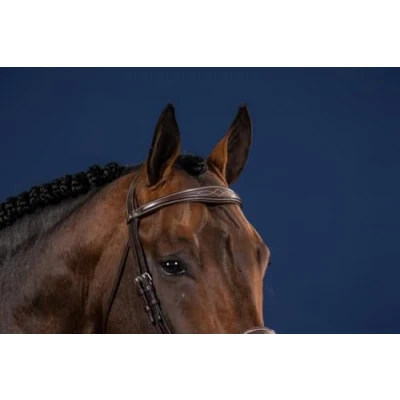 Afbeelding van Dy on Anatomic Browband Hunter Brown Maat Full