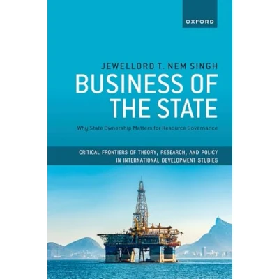 Afbeelding van Critical Frontiers of Theory, Research, and Policy in International Development Studies Business the State