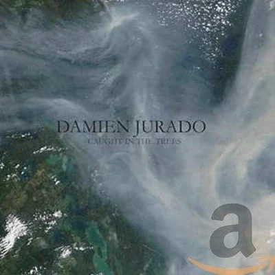Afbeelding van Damien Jurado Caught In The Trees (CD)