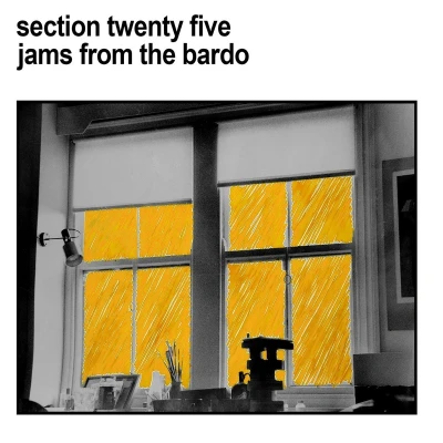 Afbeelding van Section 25 Jams From The Bardo (CD)