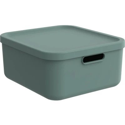 Afbeelding van Rotho Albula Decoratie Opbergbox 20L Mistletoe Groen