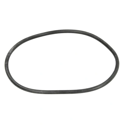 Afbeelding van Euroricambi 95534676 O ring