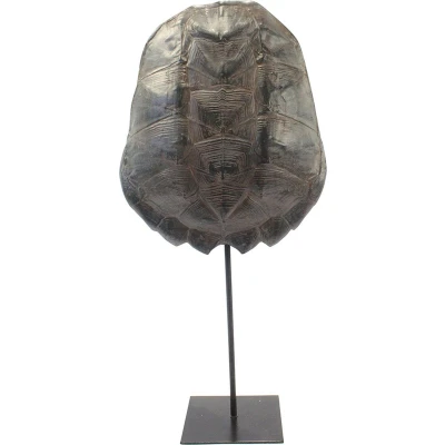 Afbeelding van Furnilux Katana Large Schildpad Brown / L