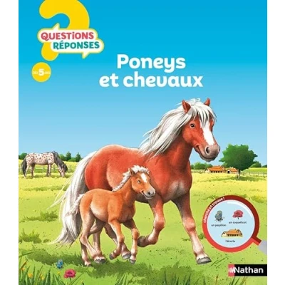 Afbeelding van les chevaux et poneys