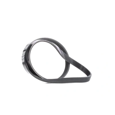 Afbeelding van Poly V riem DAYCO 4PK884
