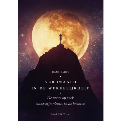 Afbeelding van Verdwaald in de werkelijkheid