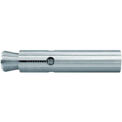Afbeelding van Fischer FZA 22 x 100 M12 I Binnendraadplug mm 60763 10 stuk(s)