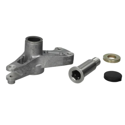 Afbeelding van SWAG 10 03 1700 Spanner, Poly V riem Met montagemateriaal deksel MERCEDES BENZ: W124 Saloon, Estate, E Class Saloon