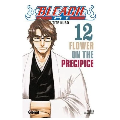 Image de Bleach Tome 12