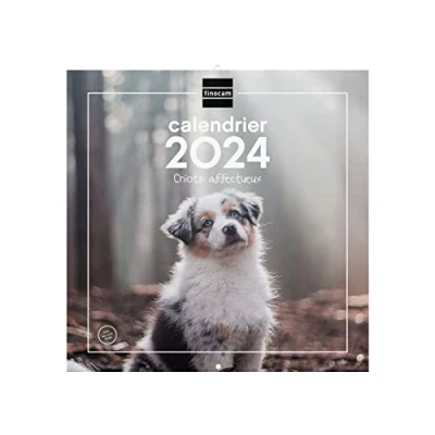 Afbeelding van Finocam Muurkalender met afbeeldingen, 30 x cm, ruimte voor notities, januari 2024 december (12 maanden), puppy‘s, Frans