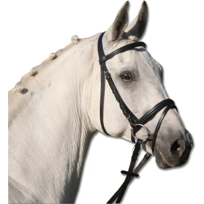 Afbeelding van STAR Bridle Lifestyle Pony