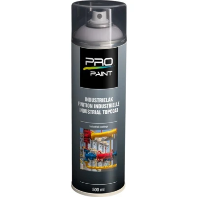 Afbeelding van PP Color Spray Zilvergrijs RAL7001 HG (500ml)