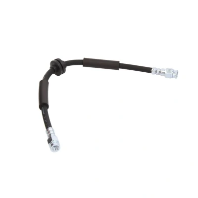 Afbeelding van Remslang DELPHI LH7038