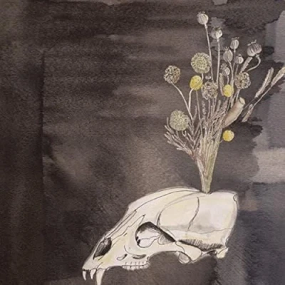 Afbeelding van Steve Gunn &amp; Black Twig Pickers Seasonal Hire (CD)