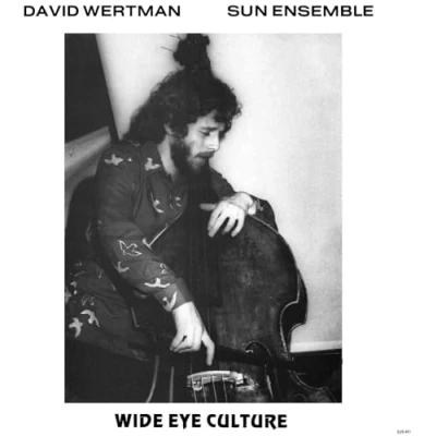 Afbeelding van David &amp; Sun Ensemble Wertman Wide Eye Culture (3 LPs)