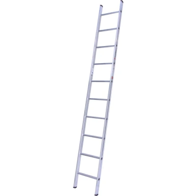 Afbeelding van Euroline Ladder premium 10 treden