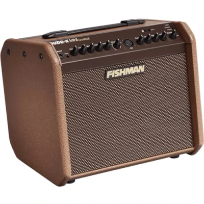 Afbeelding van Fishman 60 watt op batterij