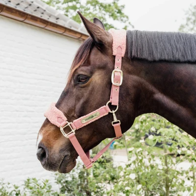 Image de Kentucky Horsewear Licol Polaire Teddy Beige