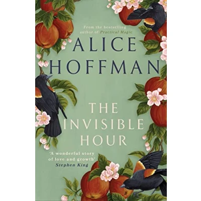 Afbeelding van The Invisible Hour