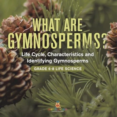 Afbeelding van What are Gymnosperms? Life Cycle, Characteristics and Identifying Gymnosperms Grade 6 8 Science