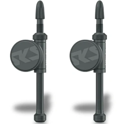Afbeelding van SKS, Fietspomp accessoires, (Luchtdrukmeter)