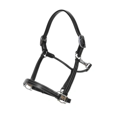 Afbeelding van Halster PONY Zwart Buffelleer