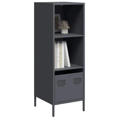 Afbeelding van vidaXL Hoge kast 35x39x103,5 cm staal antracietkleurig