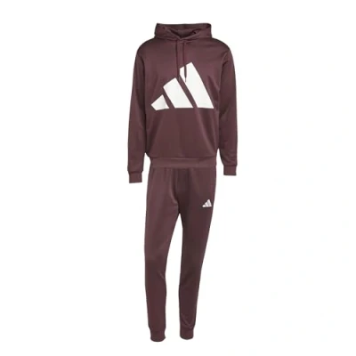 Afbeelding van adidas Sportswear BIG LOGO French Terry Hooded SET Trainingspak, Heren, Maat: Small, Aurora ruby