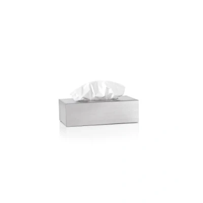 Image de BoÃ®te Ã  mouchoirs Nexio inox brossÃ© Blomus