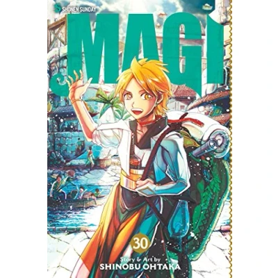 Afbeelding van Magi, Vol. 30