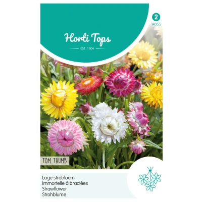 Afbeelding van Helichrysum Bract. Monst.Tom Thumb Gem. Hortitops
