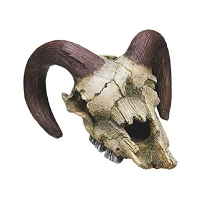 Afbeelding van Nobby aqua deco schedel ram 17,5 x 16 9,5 cm
