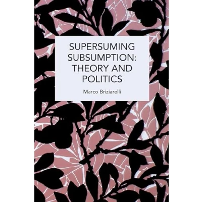 Afbeelding van Supersuming Subsumption: Theory and Politics