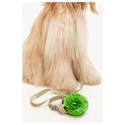 Afbeelding van Dogguo Leash Hondenriem 23 cm Groen Roze Voor Grote Honden M