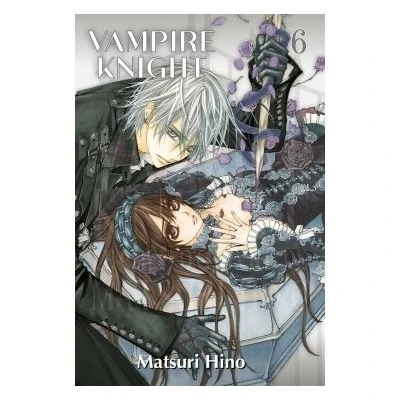Image de Vampire Knight Perfect Edition T06