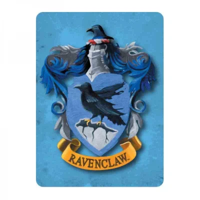 Afbeelding van Harry Potter Ravenclaw Crest metalen magneet